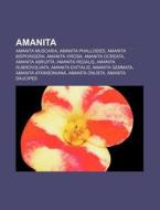 Amanita: Amanita Muscaria, Amanita Phall di Books Llc edito da Books LLC, Wiki Series