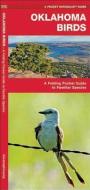 Oklahoma Birds: A Folding Pocket Guide to Familiar Species di Waterford Press, James Kavanagh edito da Waterford Press
