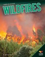 Wildfires di Rebecca Rowell edito da CORE LIB