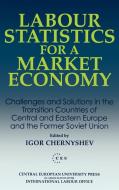 Labour Statistics for a Market Economy di Chernyeshev edito da Central European University Press