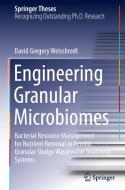 Engineering Granular Microbiomes di David Gregory Weissbrodt edito da Springer International Publishing