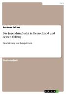 Das Jugendstrafrecht in Deutschland Und Dessen Vollzug di Andreas Eckert edito da Grin Verlag