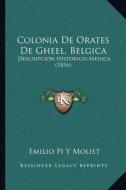 Colonia de Orates de Gheel, Belgica: Descripcion Historico-Medica (1856) di Emilio Pi y. Molist edito da Kessinger Publishing
