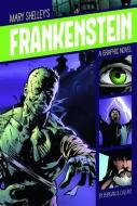 Frankenstein di Mary Shelley edito da STONE ARCH BOOKS