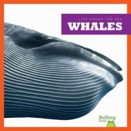 Whales di Cari Meister edito da BULLFROG BOOKS