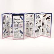 Sanibel & Captiva Birds edito da Steven M. Lewers & Associates