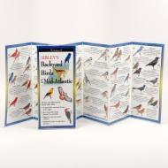 Sibley's Back. Birds of Midatl. & S.C. States di David Sibley edito da Steven M. Lewers & Associates