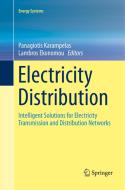 Electricity Distribution edito da Springer Berlin Heidelberg