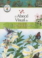 El Abece Visual de Plantas y Flores = The Illustrated Basics of Plants and Flowers edito da SANTILLANA