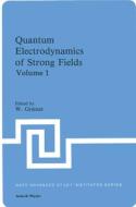 Quantum Electrodynamics of Strong Fields edito da Springer US