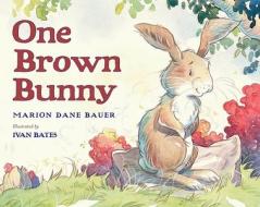 One Brown Bunny di Marion Dane Bauer edito da Orchard Books