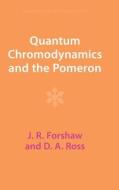Quantum Chromodynamics And The Pomeron di J. R. Forshaw, D. A. Ross edito da Cambridge University Press