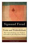 Triebe Und Triebschicksale - Die Unterscheidung Vom Triebreiz Und Anderen Physiologischen Reizen di Sigmund Freud edito da E-artnow