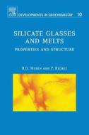 Silicate Glasses and Melts: Properties and Structure di Bjorn O. Mysen, Pascal Richet edito da ELSEVIER SCIENCE & TECHNOLOGY