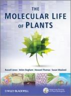 The Molecular Life of Plants di Russell L. Jones edito da Wiley-Blackwell