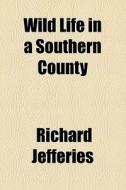 Wild Life in a Southern County di Richard Jefferies edito da Books LLC, Reference Series