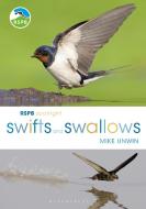 RSPB Spotlight Swifts and Swallows di Mike Unwin edito da Bloomsbury Publishing PLC