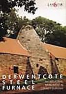 Derwentcote Steel Furnace: An Industrial Monument in County Durham di D. Cranstone edito da PAPERBACKSHOP UK IMPORT