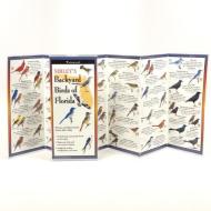 Sibley's Back. Birds of Florida di David Sibley edito da Steven M. Lewers & Associates