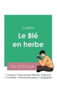 Réussir son Bac de français 2023 : Analyse du Blé en herbe de Colette di Colette edito da Bac de français