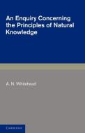 An Enquiry Concerning the Principles of Natural Knowledge di A. N. Whitehead edito da Cambridge University Press