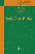 Heavy Quark Physics edito da Springer Berlin Heidelberg