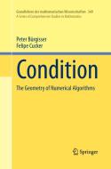 Condition di Peter Bürgisser, Felipe Cucker edito da Springer Berlin Heidelberg