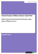 High Dimensional Spatial Indexing Using Space-filling Curves di Ankush Chauhan, William Johnson, Anjuli Patel edito da Grin Publishing