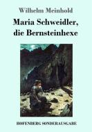 Maria Schweidler, die Bernsteinhexe di Wilhelm Meinhold edito da Hofenberg