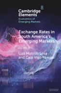 Exchange Rates In South America's Emerging Markets di Sosa Luis Molinas Sosa, Pereira Caio Vigo Pereira edito da Cambridge University Press