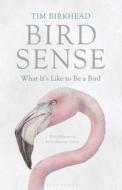 Bird Sense di Tim Birkhead edito da Bloomsbury Publishing Plc