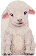 Furry Lamb di Annie Auerbach edito da Barron's Educational Series Inc.,u.s.