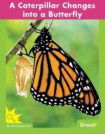 A Caterpillar Changes Into a Butterfly di Nick Rebman edito da CLIFF HOUSE SPARKS