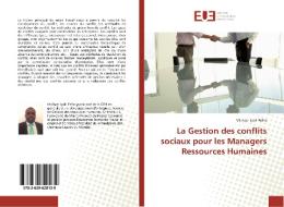 La Gestion des conflits sociaux pour les Managers Ressources Humaines di Michael Ipoli Felho edito da Editions universitaires europeennes EUE