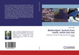 BioKernSprit. Synfuel from waste, wood and coal di Jochen Michels edito da LAP LAMBERT Academic Publishing
