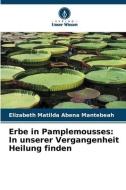 Erbe in Pamplemousses: In unserer Vergangenheit Heilung finden di Elizabeth Matilda Abena Mantebeah edito da Verlag Unser Wissen