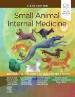 Small Animal Internal Medicine di Richard W. Nelson, C. Guillermo Couto edito da ELSEVIER