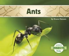 Ants di Grace Hansen edito da Capstone Classroom