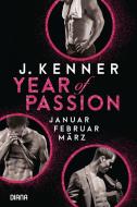 Year of Passion (1-3) di J. Kenner edito da Diana Taschenbuch