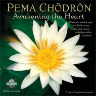 Pema Chodron 2024 Calendar di Pema Chodron edito da Amber Lotus