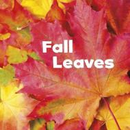 Fall Leaves di Erika L. Shores edito da CAPSTONE PR