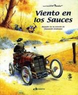Viento En Los Sauces di Michel Plessix edito da Ediciones Norte