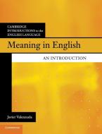 Meaning in English di Javier Valenzuela edito da Cambridge University Press