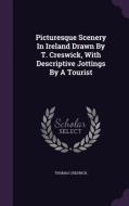 Picturesque Scenery In Ireland Drawn By T. Creswick, With Descriptive Jottings By A Tourist di Thomas Creswick edito da Palala Press