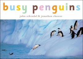 Busy Penguins di John Schindel edito da Tricycle Press