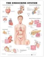The Endocrine System Anatomical Chart edito da Anatomical Chart Co.