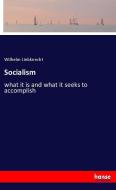 Socialism di Wilhelm Liebknecht edito da hansebooks