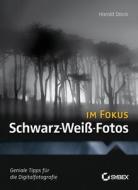 Schwarz-Weiß-Fotos im Fokus di Harold Davis edito da Wiley VCH Verlag GmbH