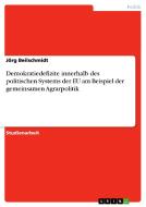 Demokratiedefizite innerhalb des politischen Systems der EU am Beispiel der gemeinsamen Agrarpolitik di Jörg Beilschmidt edito da GRIN Verlag