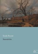 Sturmhöhe di Emily Brontë edito da Europäischer Literaturverlag